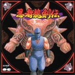 Ninja Gaiden -G.S.M. Tecmo 1-